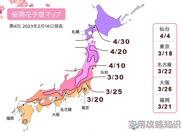 日本二区三区2025全新樱花季限定主题游玩攻略